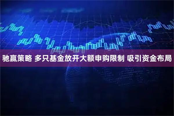 驰赢策略 多只基金放开大额申购限制 吸引资金布局