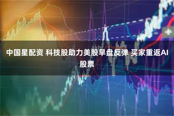 中国星配资 科技股助力美股早盘反弹 买家重返AI股票