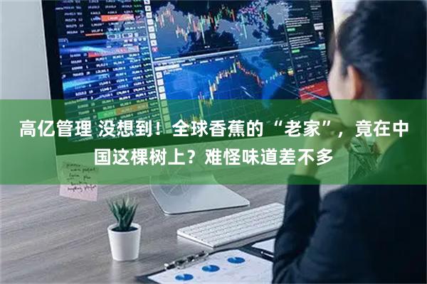 高亿管理 没想到！全球香蕉的 “老家”，竟在中国这棵树上？难怪味道差不多