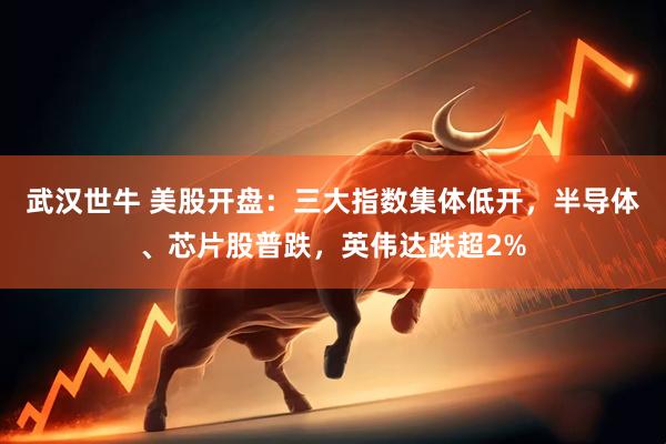 武汉世牛 美股开盘：三大指数集体低开，半导体、芯片股普跌，英伟达跌超2%