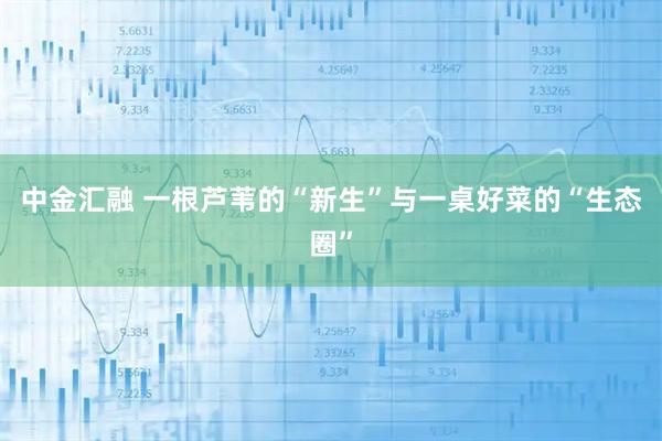 中金汇融 一根芦苇的“新生”与一桌好菜的“生态圈”